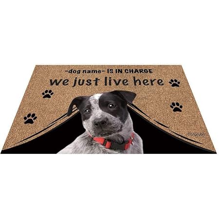 blue heeler doormat