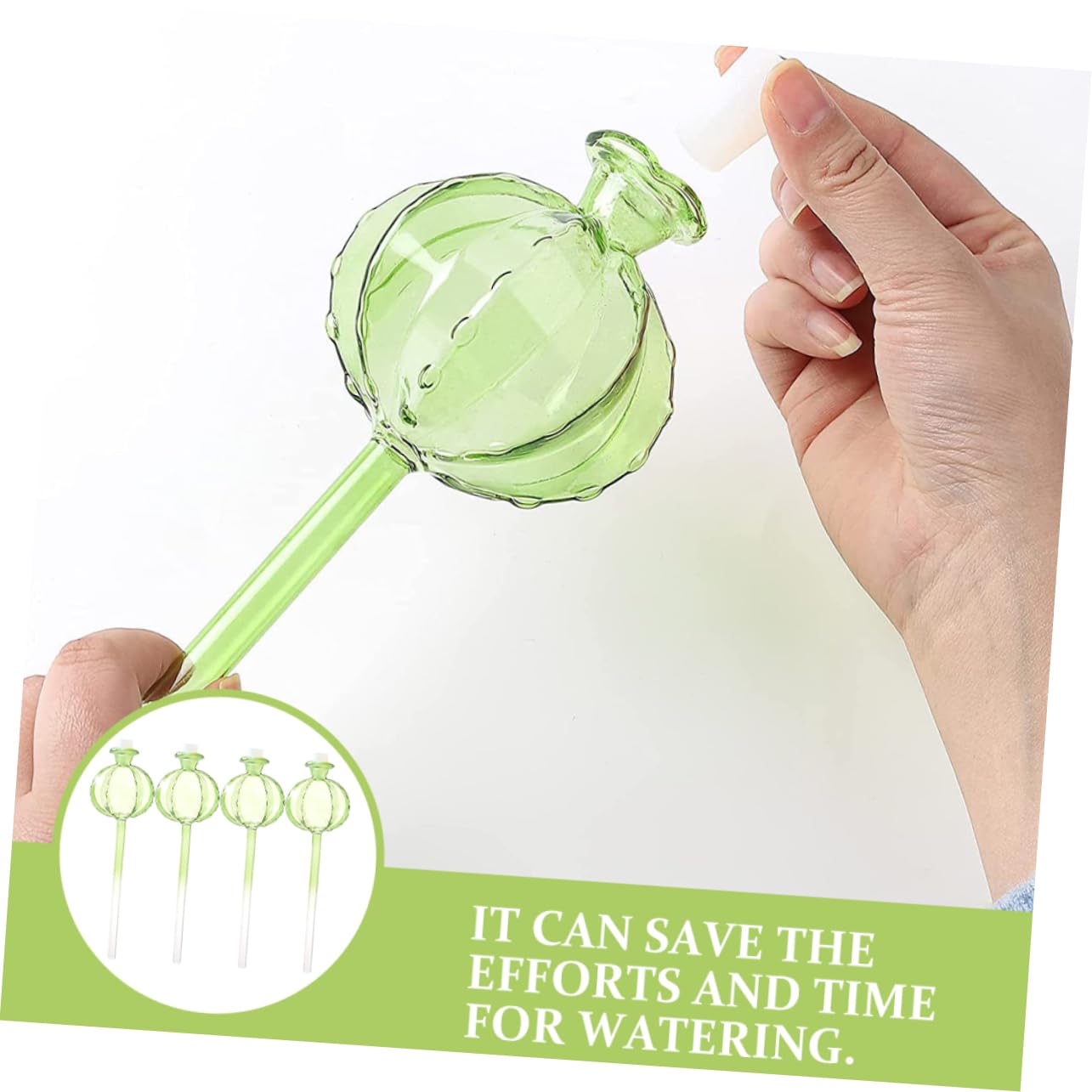 ibasenice Globe D’arrosage en Verre Cactus Vert 4 Pièces pour Plantes