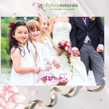 Premium Quality Real Rose Petals Freeze Dried for Bridal Toss, Wedding Aisles, and Party Decorations, 15 Cups, Handmade in Oregon USA, Red Cocoa