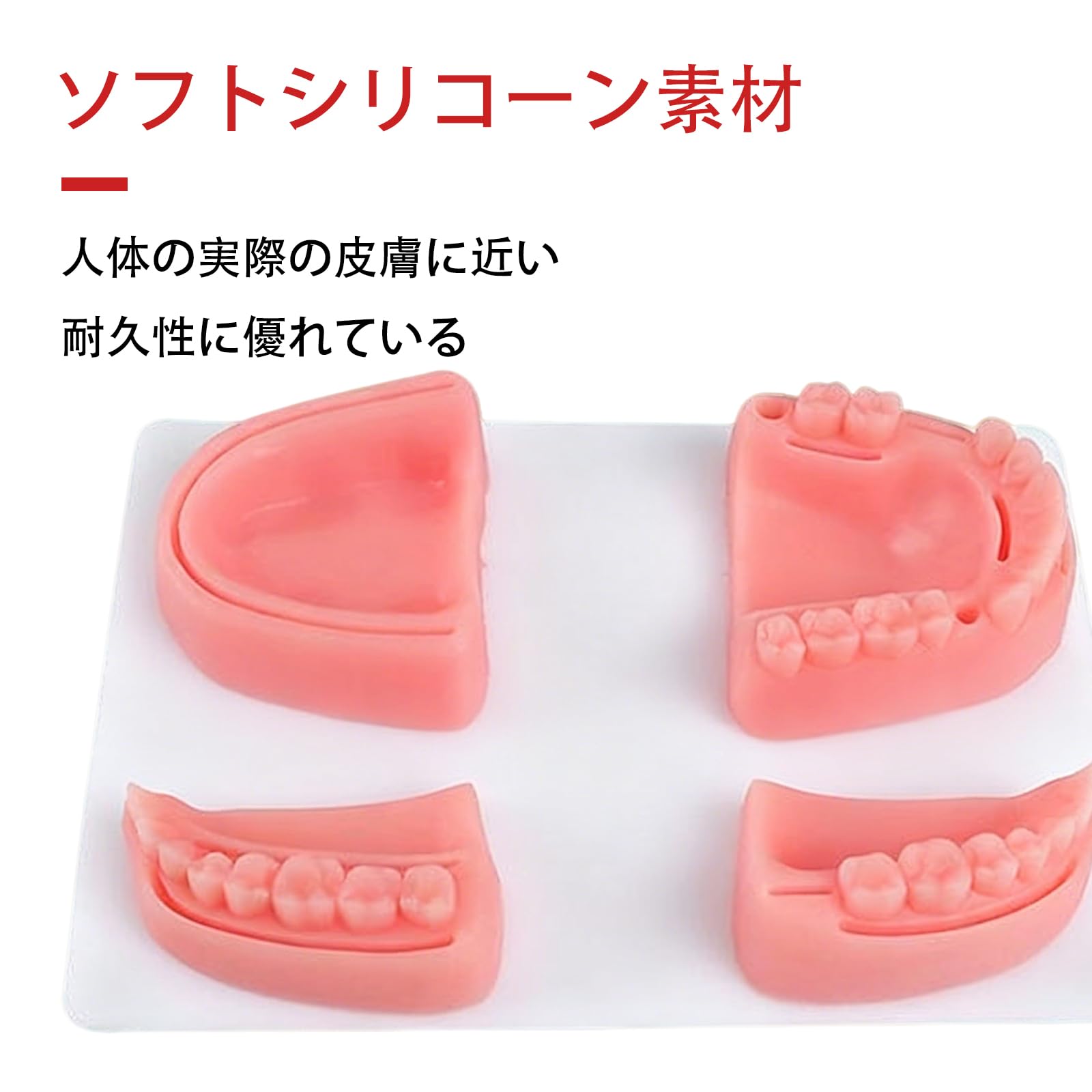歯科 口腔外科実習セット 【公式通販】