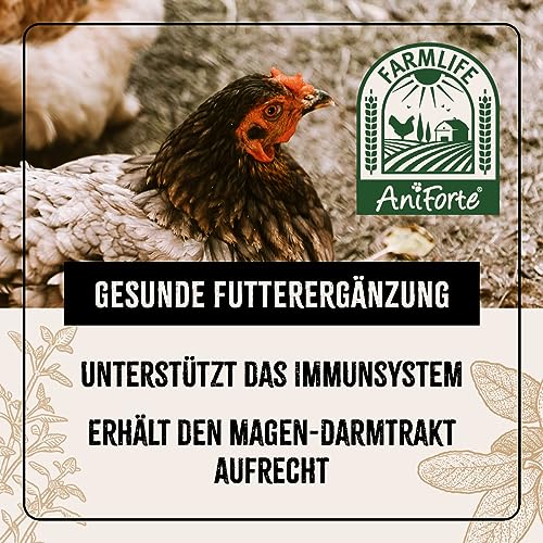 AniForte Wohlfühlkräuter für Hühner 500 g - Natürliche Kräuter für Geflügel unterstützen Immunsystem & Verdauung, Leckerchen für Hühner jeden Alters, mehr Vitalität