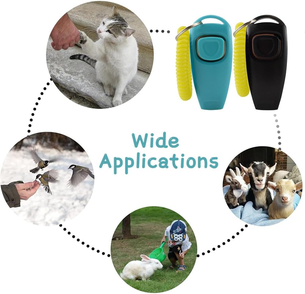 Sifflet WOLMIK en action lors d’une séance de dressage extérieur