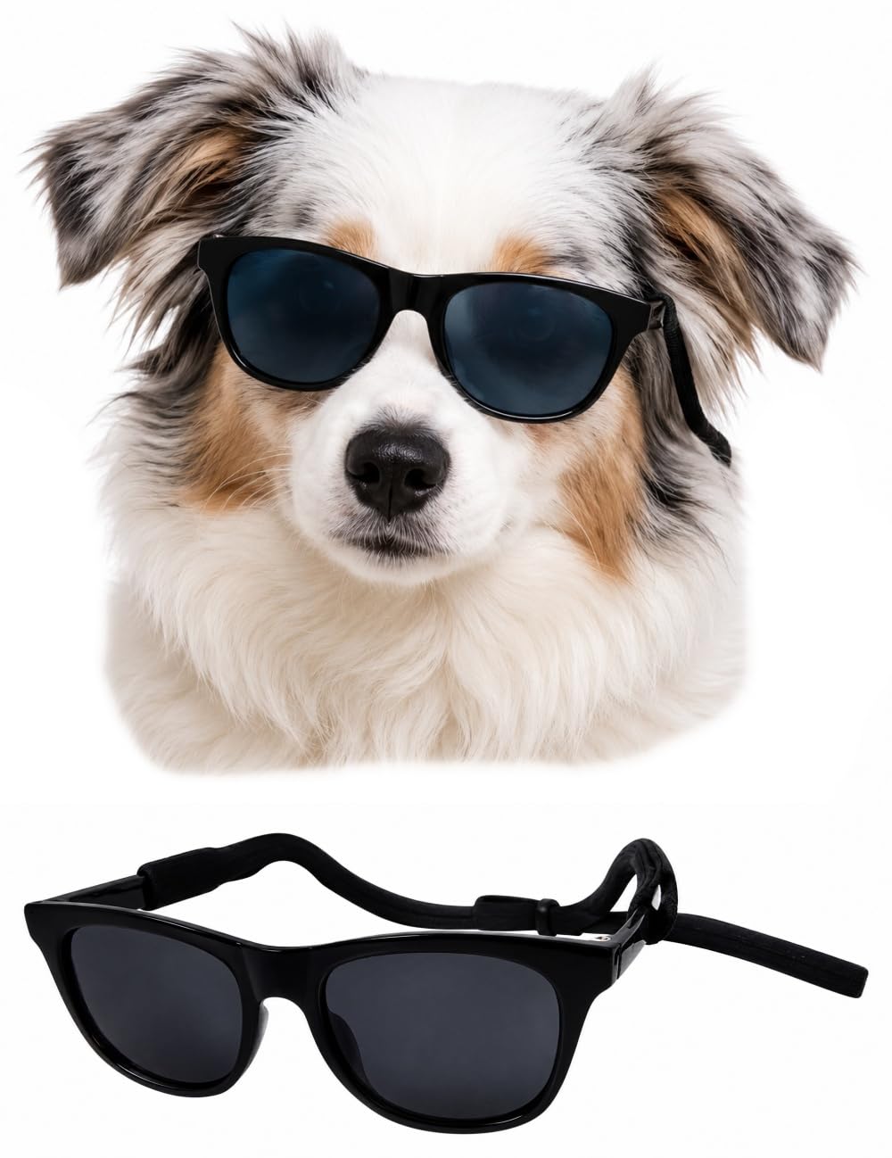 Lunettes de soleil sport pour chien G006 à sangle pour balades en voiture et sorties outdoor