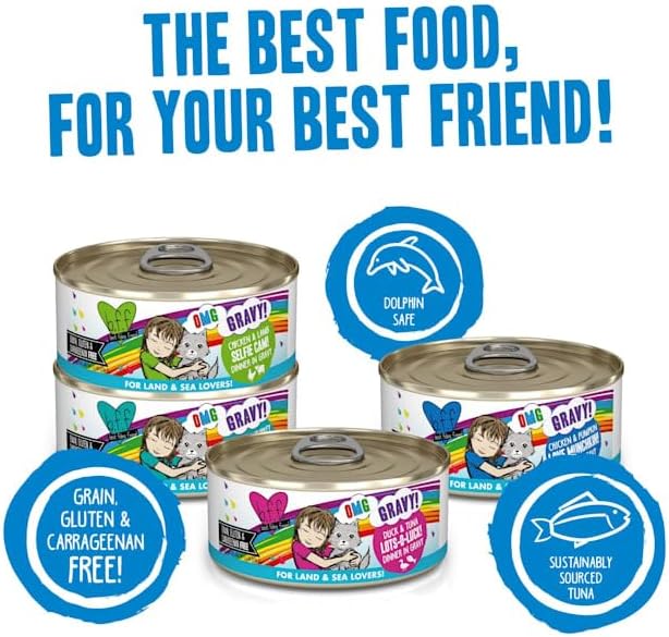 Weruva BFF OMG Gravy It's Gravy, Baby Variety Pack Wet Cat Food