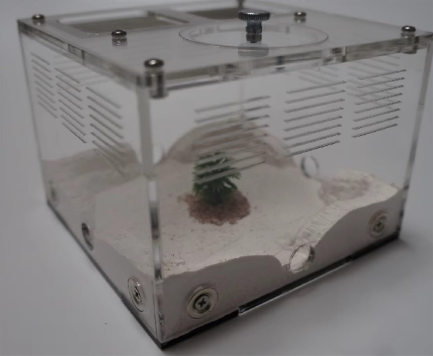 Ant Formicarium Akrylowe Gniazdo Mrówek DIY Gniazdo Betonowe Gniazdo Mrówek Dom Wiejski Warsztat Wiwarium Mrówek Edukacja Nauka Gniazdo Mrowiska