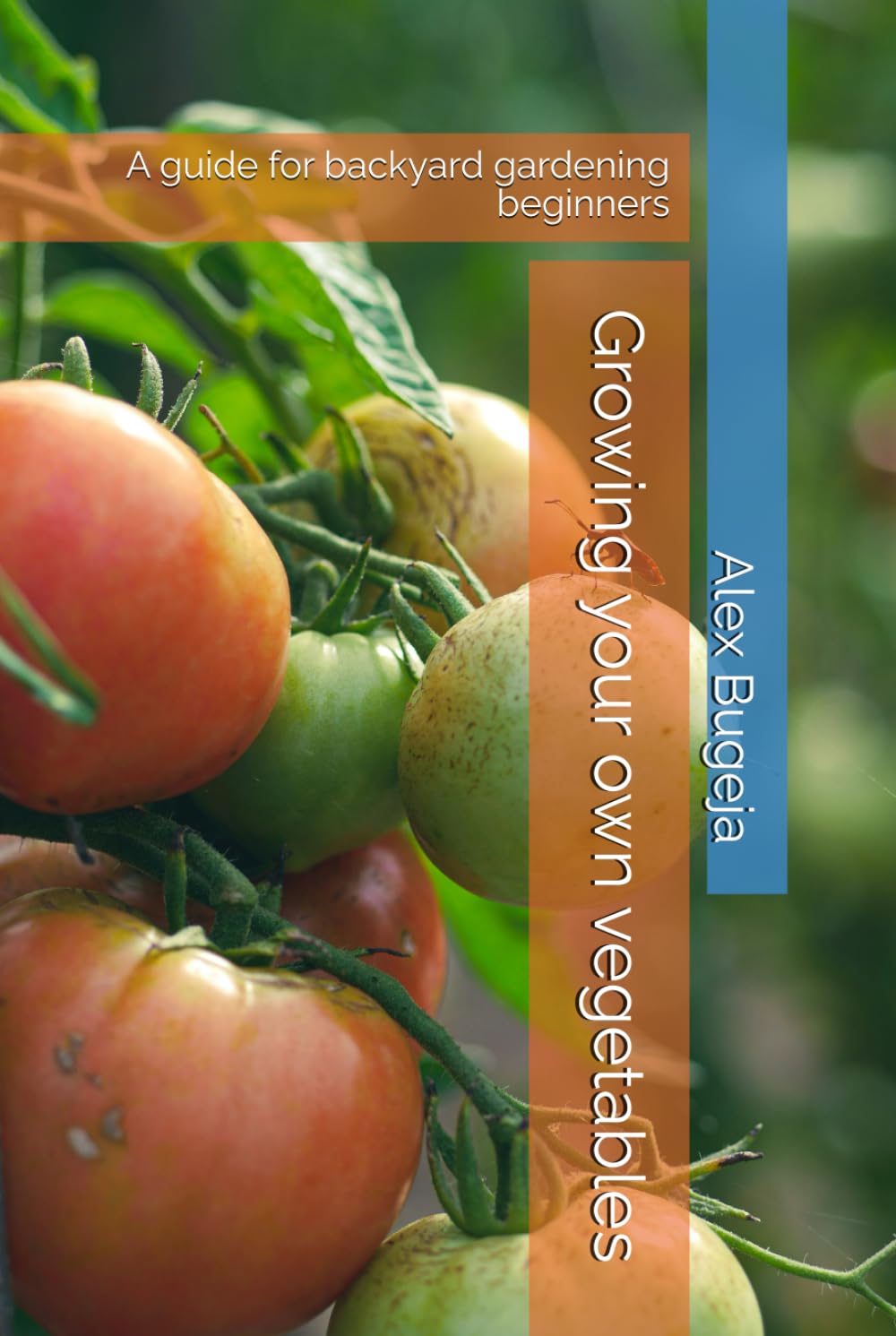 Growing your own vegetables: A guide for backyard gardening beginners
