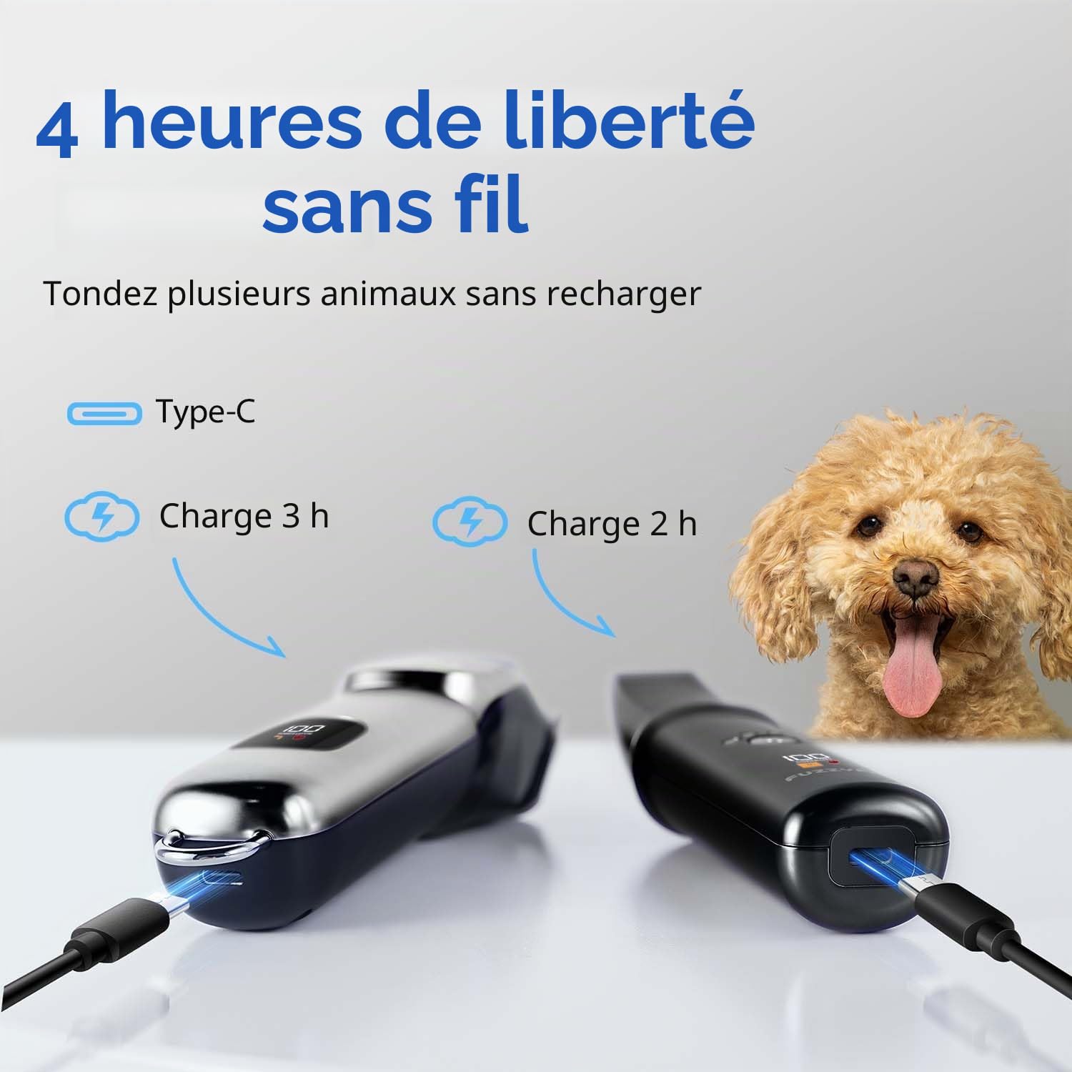 Tondeuses Chiens et Tondeuse pour Pattes de Chien 3 en 1,Sans fil, Cilencieuse et Puissante pour Poils Longs et épais,Noir