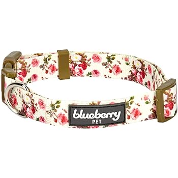 blueberry dog collar amazon