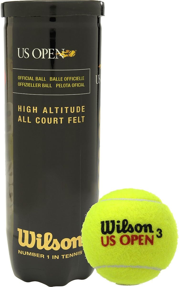 WILSON US Open Tennis Balls