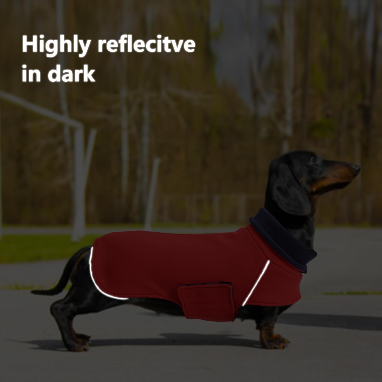 Geyecete Warm Thermal Quilted Dachshund Coat,Double sided wear Dog Winter Coat with adjustable high collar,Outdoor Dog Apparel for Small,Medium,Large Dog-Red-M - Image 3