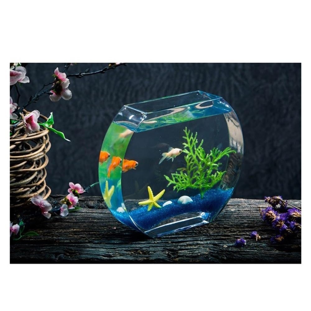 Acquario Decorazione for scrivania da soggiorno, acquario in vetro piatto e rotondo a forma di pesca