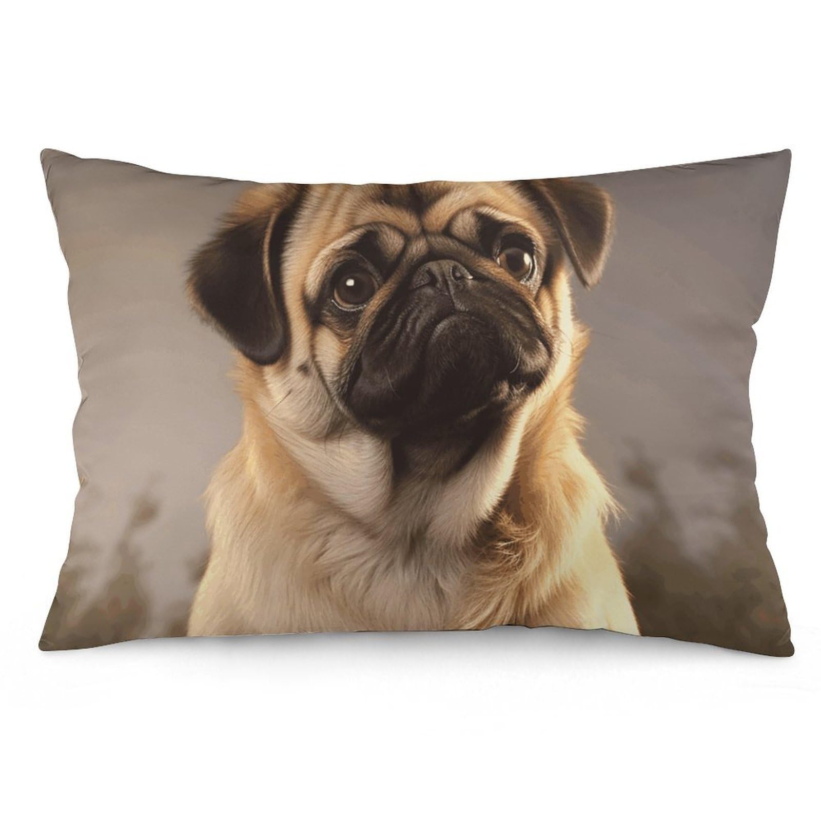 2 Pack Pillow Cases for Hair and Skin, Soft Breathable Pillow Case Covers with Hidden Zipper, Cute Pug Dog Pillowcase 20"x30" Pillow Covers for Sleeping Gift