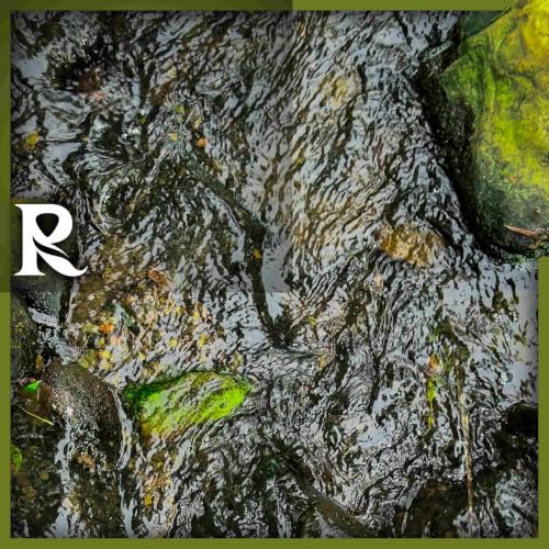 Peaceful Calming Guitar with Stream Sounds - 3 Hours - "Endless Skyway"