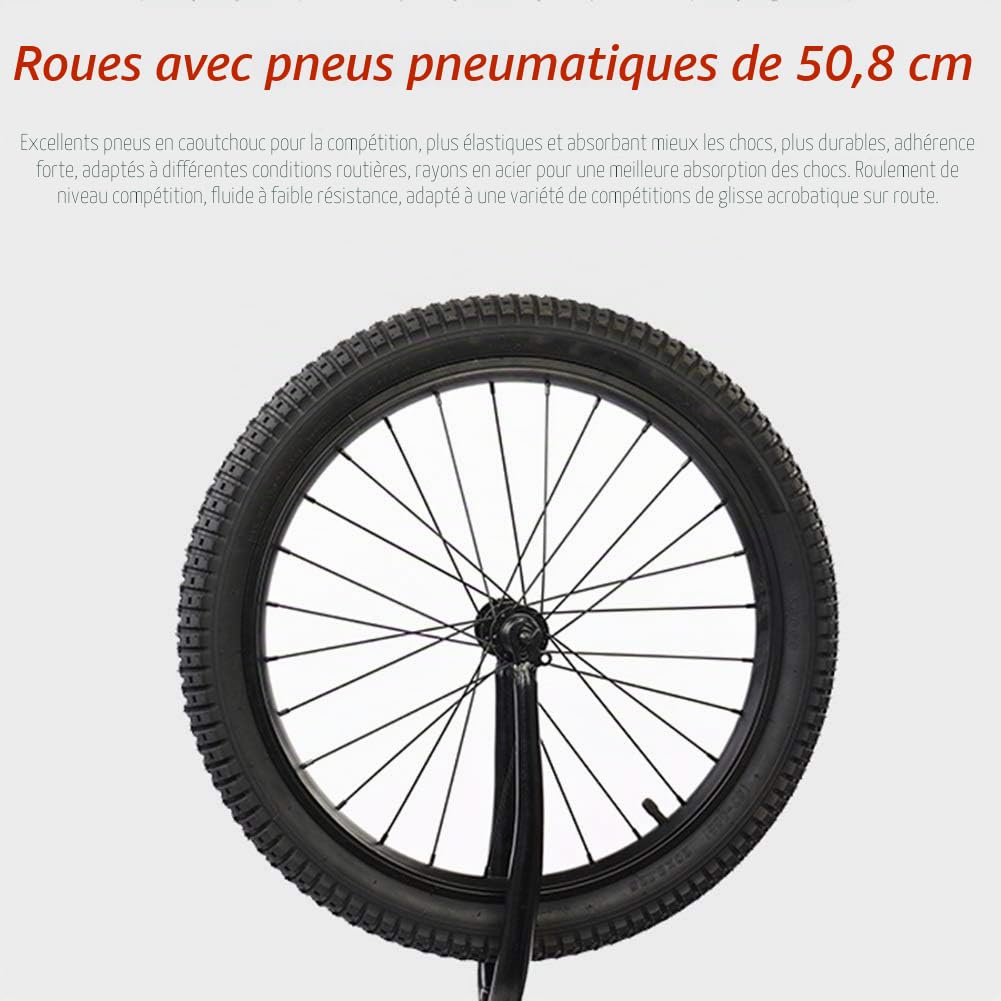 Draisienne sans pédale pour Adultes et débutants, vélo d'entraînement réglable avec Frein à Main et Roues de 20 Pouces, Charge maximale 100 kg