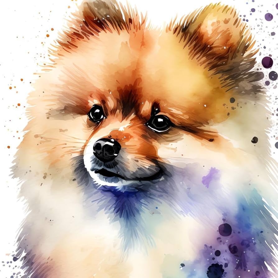 狼林（ROURIN）作　犬（ポメラニアン）の水彩画 2008年 狼林（ROURIN）作 犬（ポメラニアン）の水彩画 2008年 水彩画