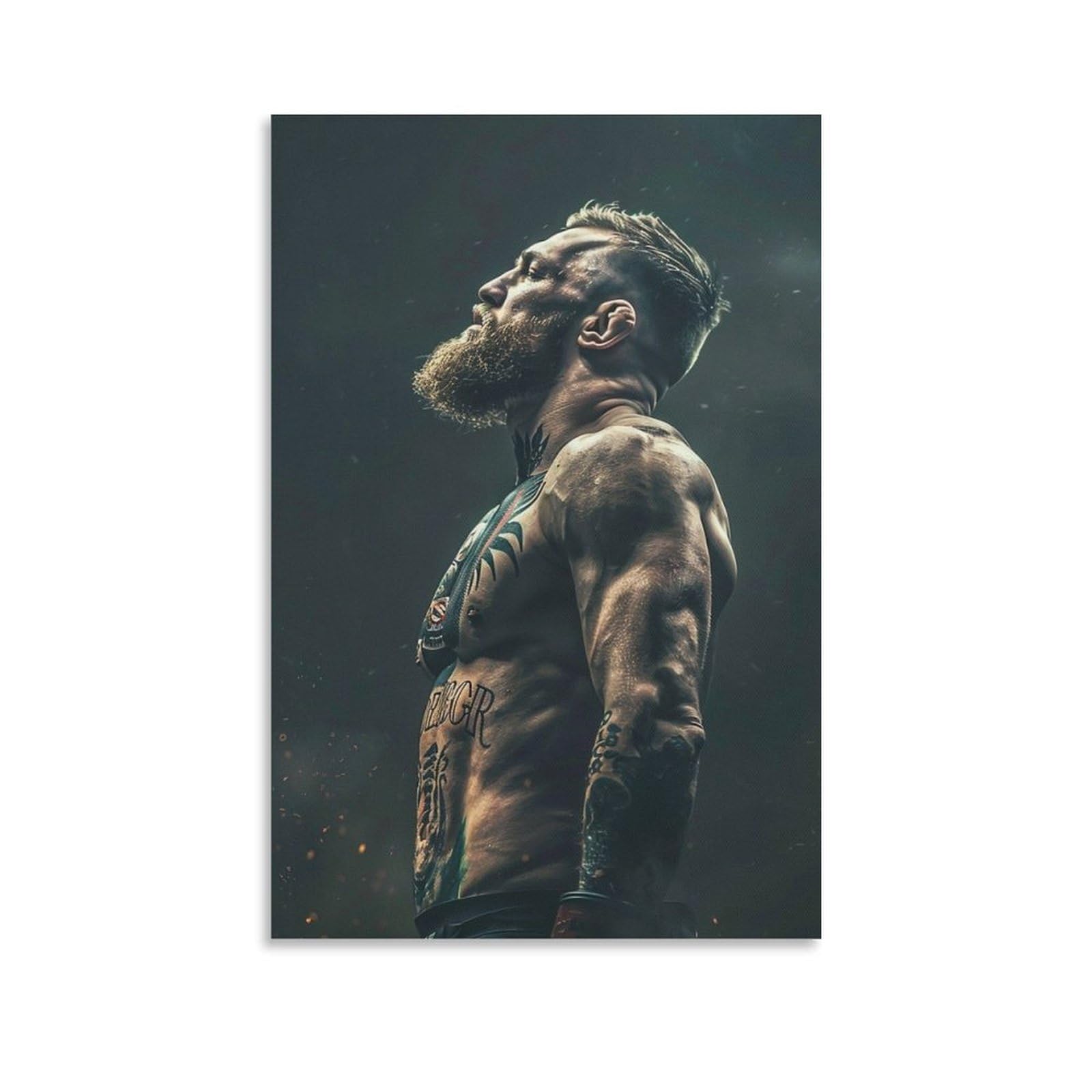 Amazon.co.jp: Mcgregor コナーマクレガー対ナットディアス総合