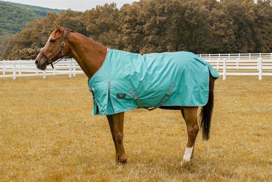 Image of TuffRider 1200 D Comfy Winter Ripstop Turnout Blanket Medium Weight 200 GSM Standard Neck - Turquoise - 84