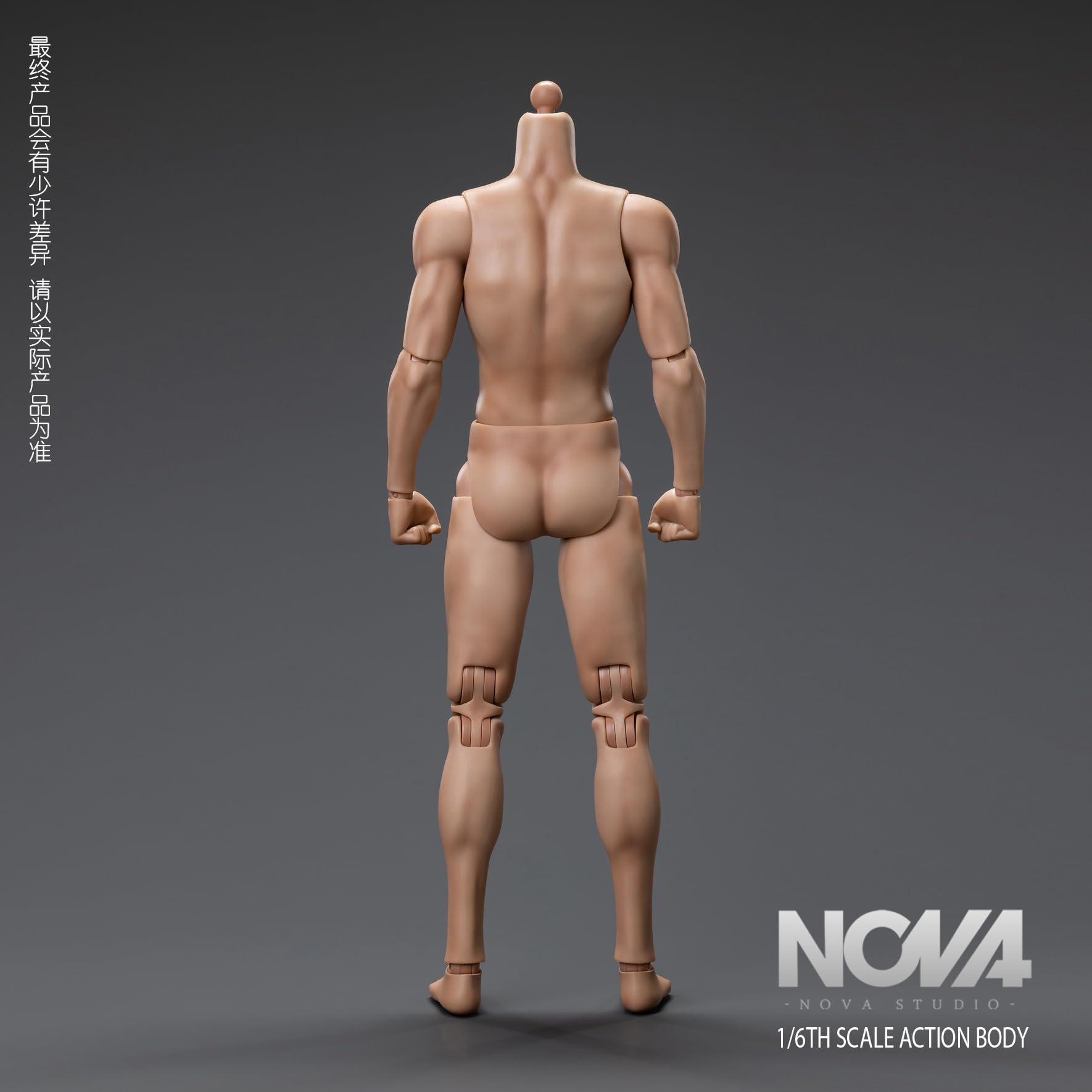 Shttle NOVA ボディセット Amazon | [Tbmodel] NOVA Studio 1/6 フィギュア 男性素体