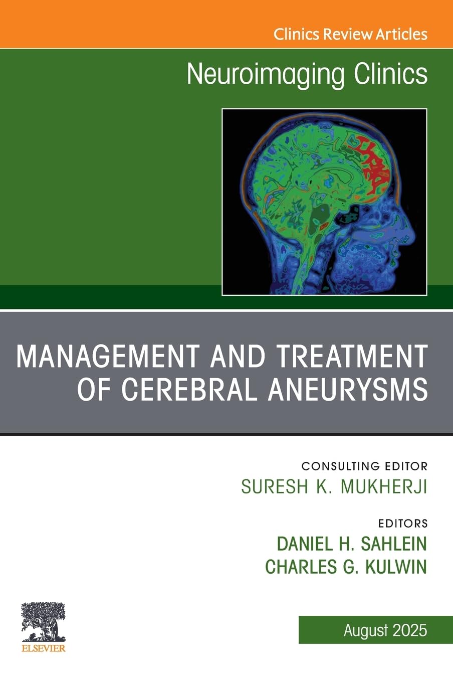 Management and Treatment of Cerebral Aneurysms, An Issue of Neuroimaging Clinics of North America: Volume 35-3 (The Clinics: Radiology, Volume 35-3)
