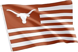 Desert Cactus Texas Longhorns UT Austin Backyard Flag