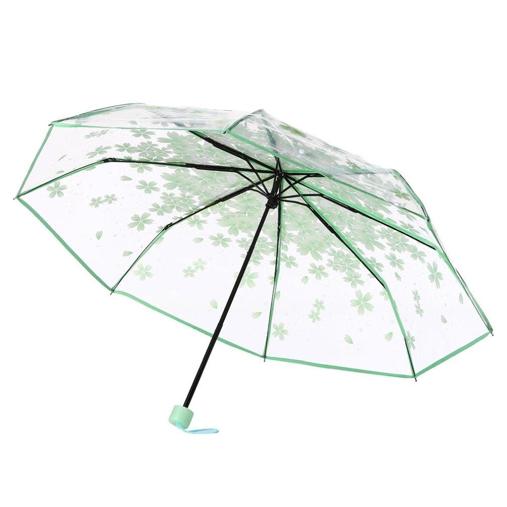 WerFamilyCherry Blossom Transparent Folding Travel Umbrella