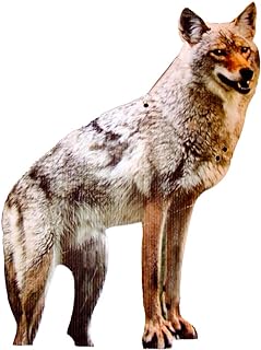 Bird-X 2D Hunting Coyote Predator Decoy