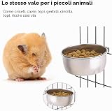 PIQIUQIU B0C4GC5BRG lato 4