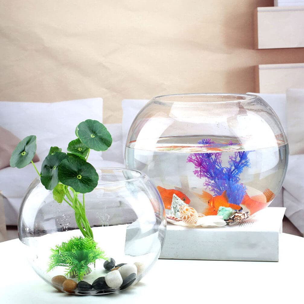 Yardwe Goldfischglas aus Glas, Rundes Kugelaquarium für Pflanzen, 15cm Kugelvase Deko, Transparentes Aquarium für Tisch und Büro