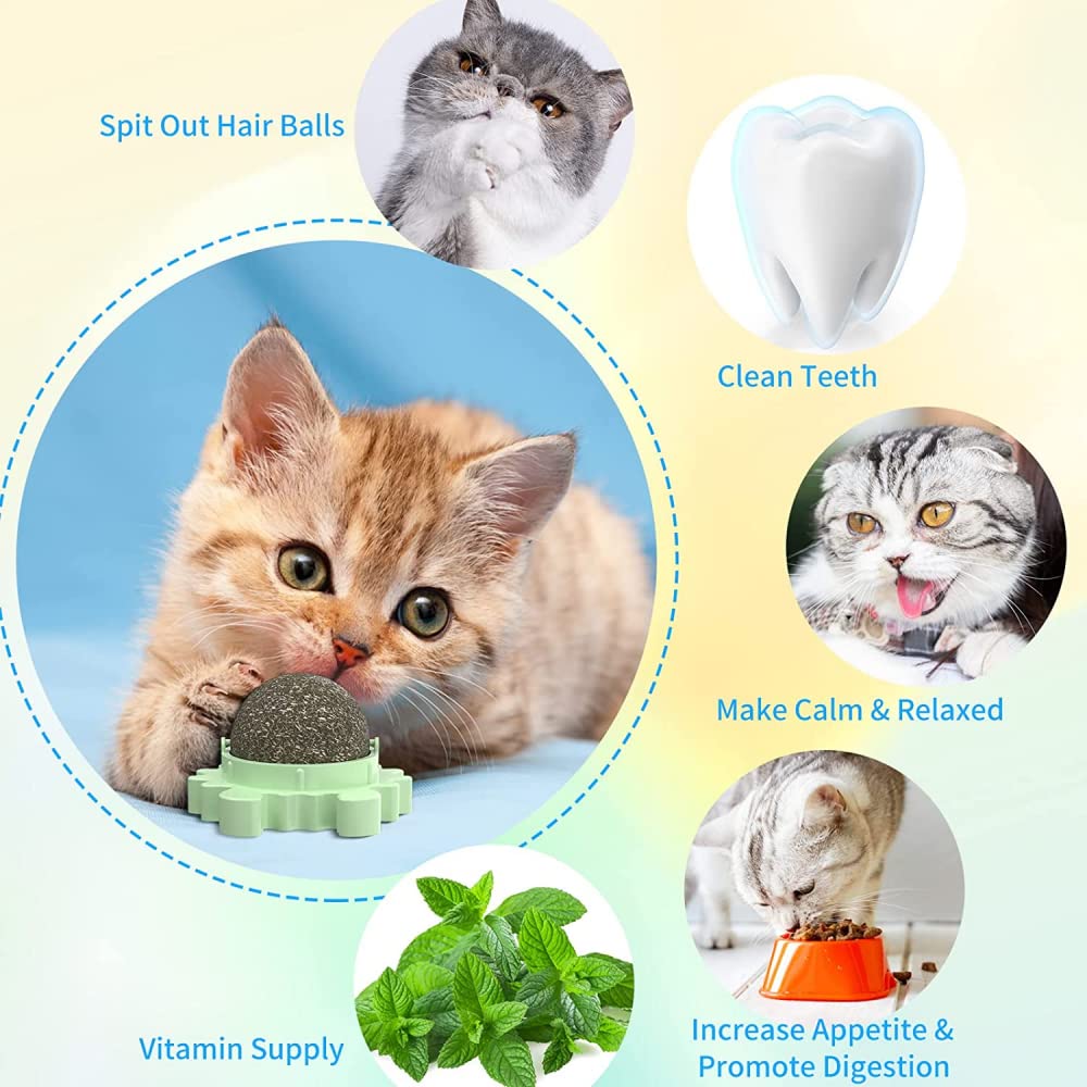 Bälle für Katzen, essbare Kitty Cats Spielzeug Katzenminze Bälle für Katzen Wand rotierende Indoor-Katze Snack Ball für Katze Zähne Reinigung, Katze Wanddekoration (grün/blau/rosa)-Blue