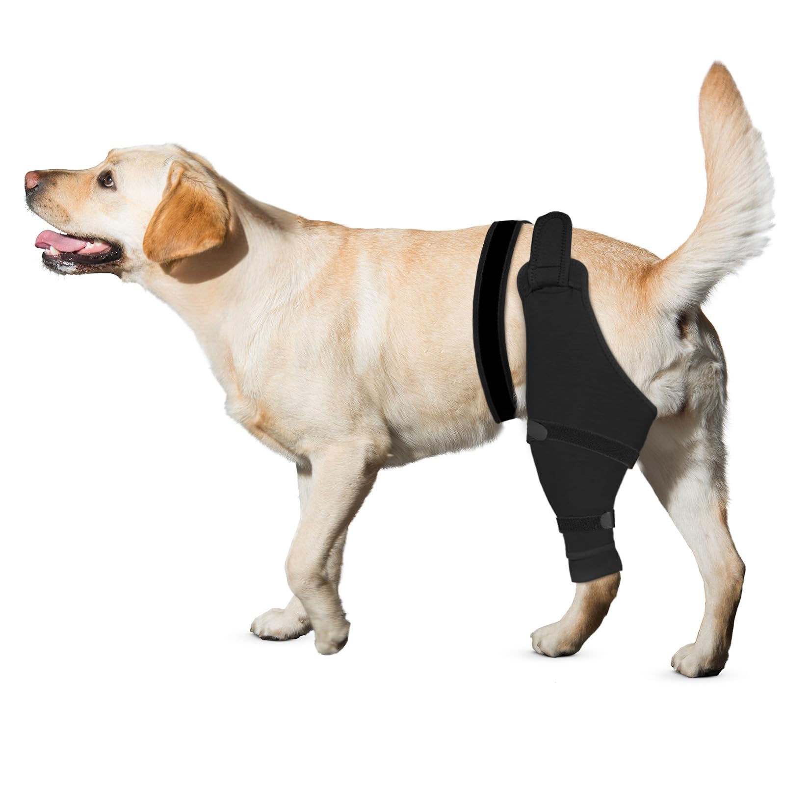 Dog Rear Leg Sleeve to Stop Licking, Hind Leg Protector After TPLO Recovery, ACL Surgery, Wounds or Skin Issues, Soft Breathable Comfortable Cover for Large Medium Small Dogs, XL,Left, Matte Black