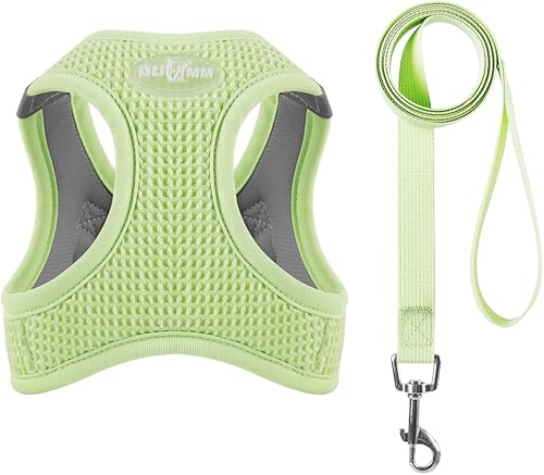 Juego de arnés y correa para perro pequeño, transpirable, ligero, sin tirones, chaleco reflectante ajustable para cachorros, para perros pequeños y