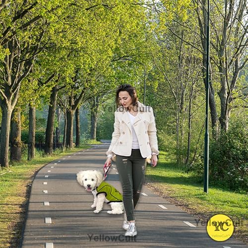 Image of Yellowcult Cute Dog T-Shirt Clothes, Summer Sweetshirts Sporty Pet Outfit for Small Dog, cat, Puppy, Kitten for Bithday Party, Travel, Outing, Photos(XS- Green)