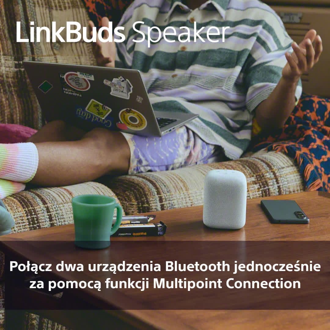 Sony LinkBuds Speaker przenośny bezprzewodowy głośnik Bluetooth ze stacją ładującą, IPX4, wodoodporny, 25-godzinny akumulator, jakość dzwonka, głośnik domowy, szary