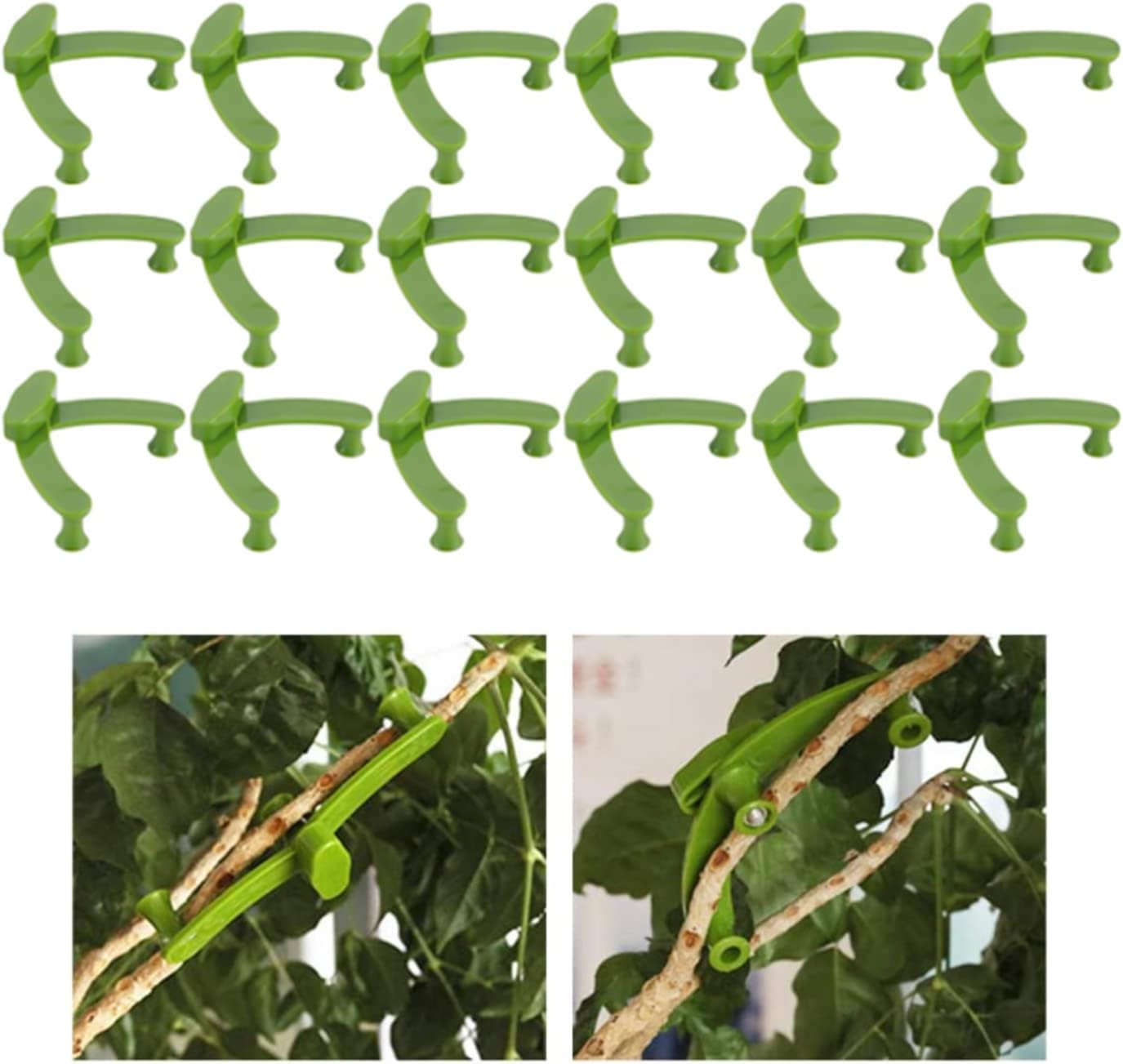 Branch and Limb Spreaders for Training Fruit Trees or