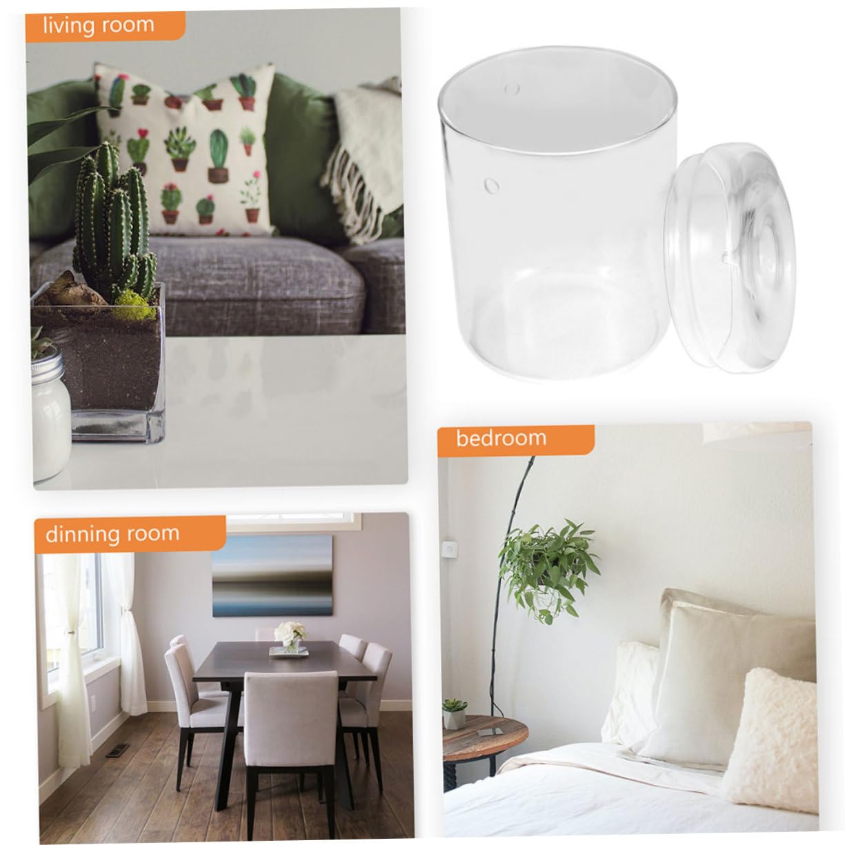 DECHOUS Terrario in Vetro per Ecosistema di Muschio, Vaso Decorativo Leggero e Resistente, per Scrivania e Soggiorno, per Piante e Fiori