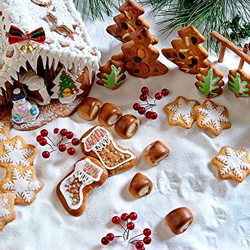 Set di 10 formine per biscotti natalizi Formine