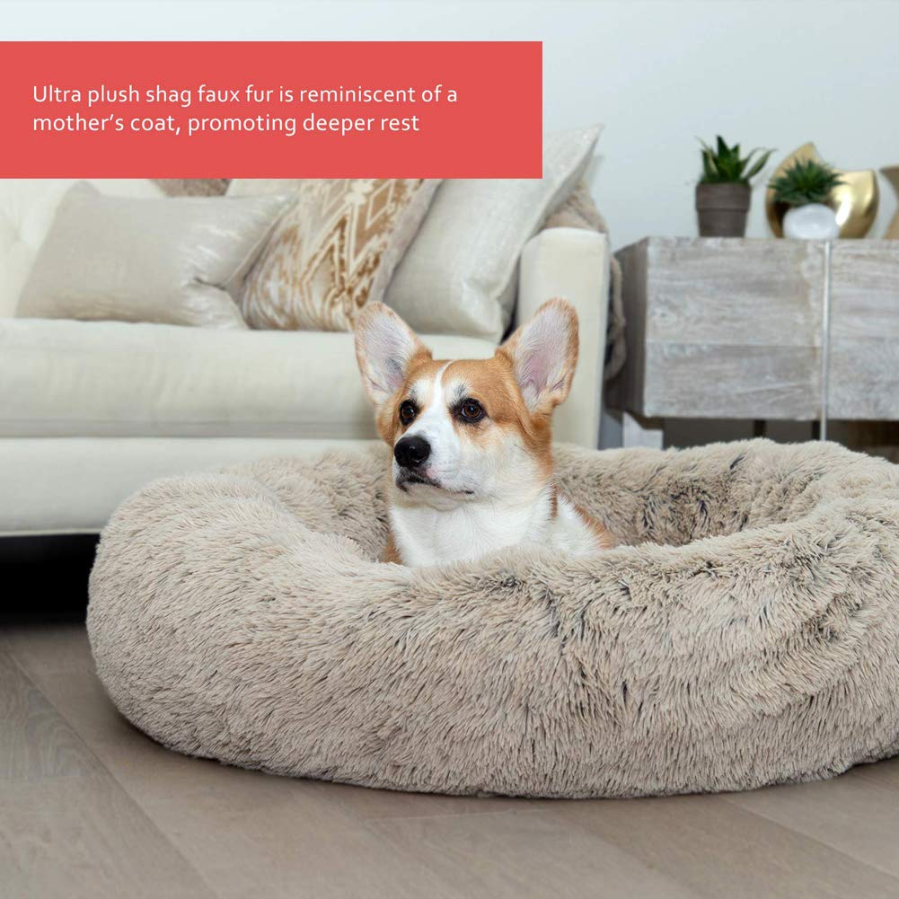 Super Gemütliches Hundebett Waschbar – Orthopädisch, Mit Hohem Rand, Für Alle Hundegrößen Bis 120 Cm