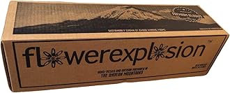 Fresh Cut Tinted Purple and White Roses - 12 Stems from Flower Explosion