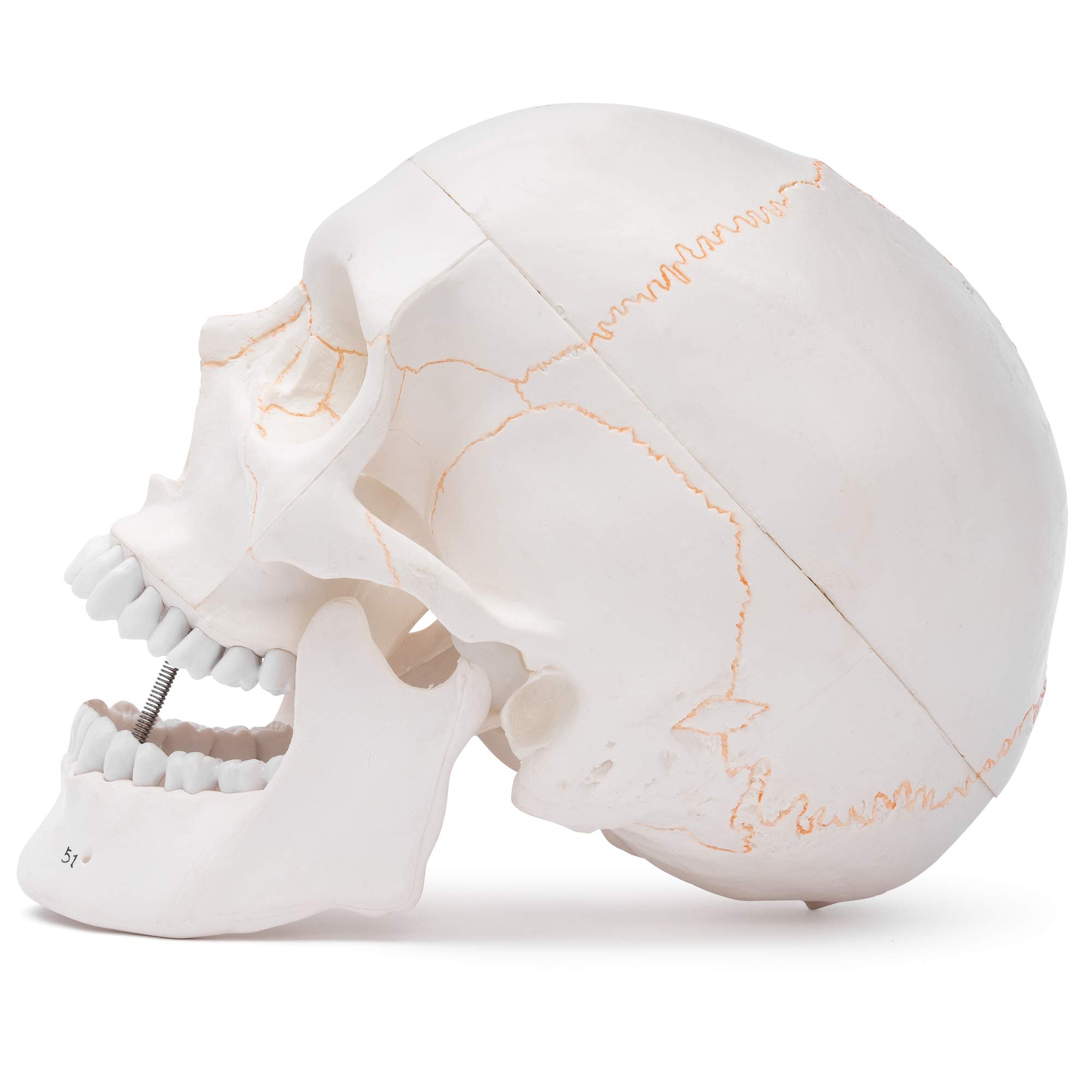 (未使用･未開封品)　SKULL MAN: COMPLETE COLLECTION og8985z 未使用・未開封品) SKULL MAN: COMPLETE COLLECTION og8985z 【公式通販】