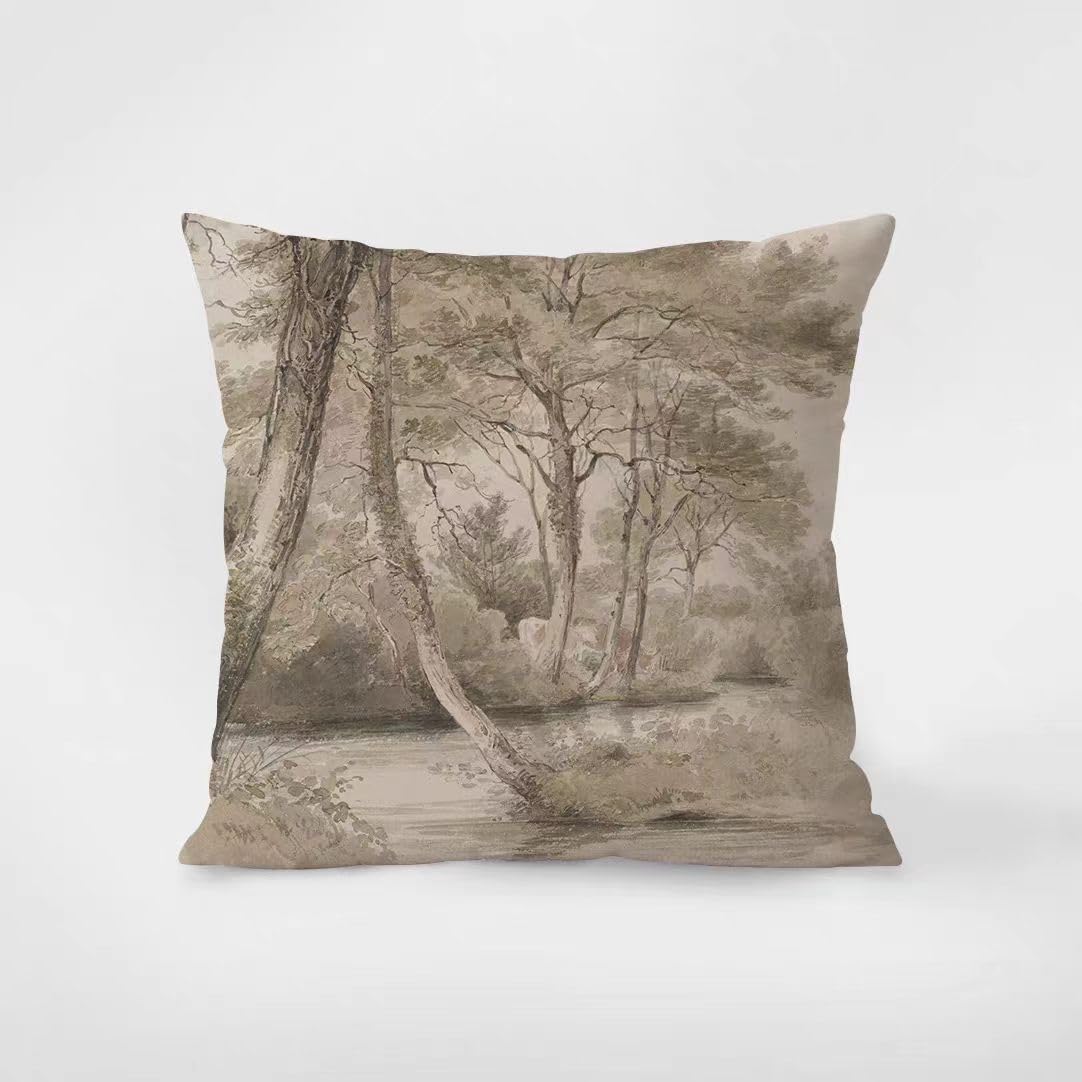 Housse de coussin décorative canapé lit taie oreiller salon moderne