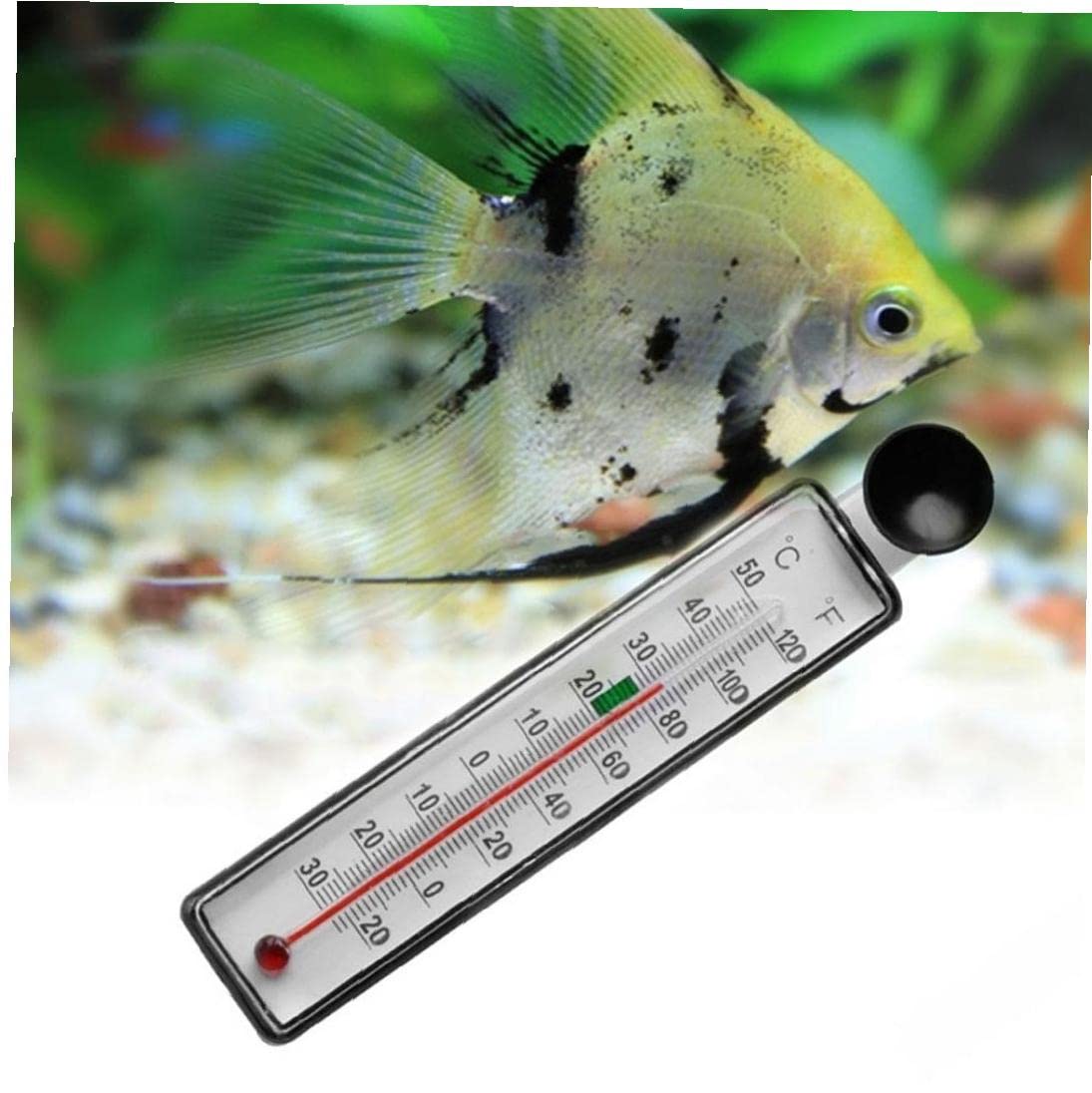 Aqua One Aquarium Glass Thermometer #10306 Fish Tanks