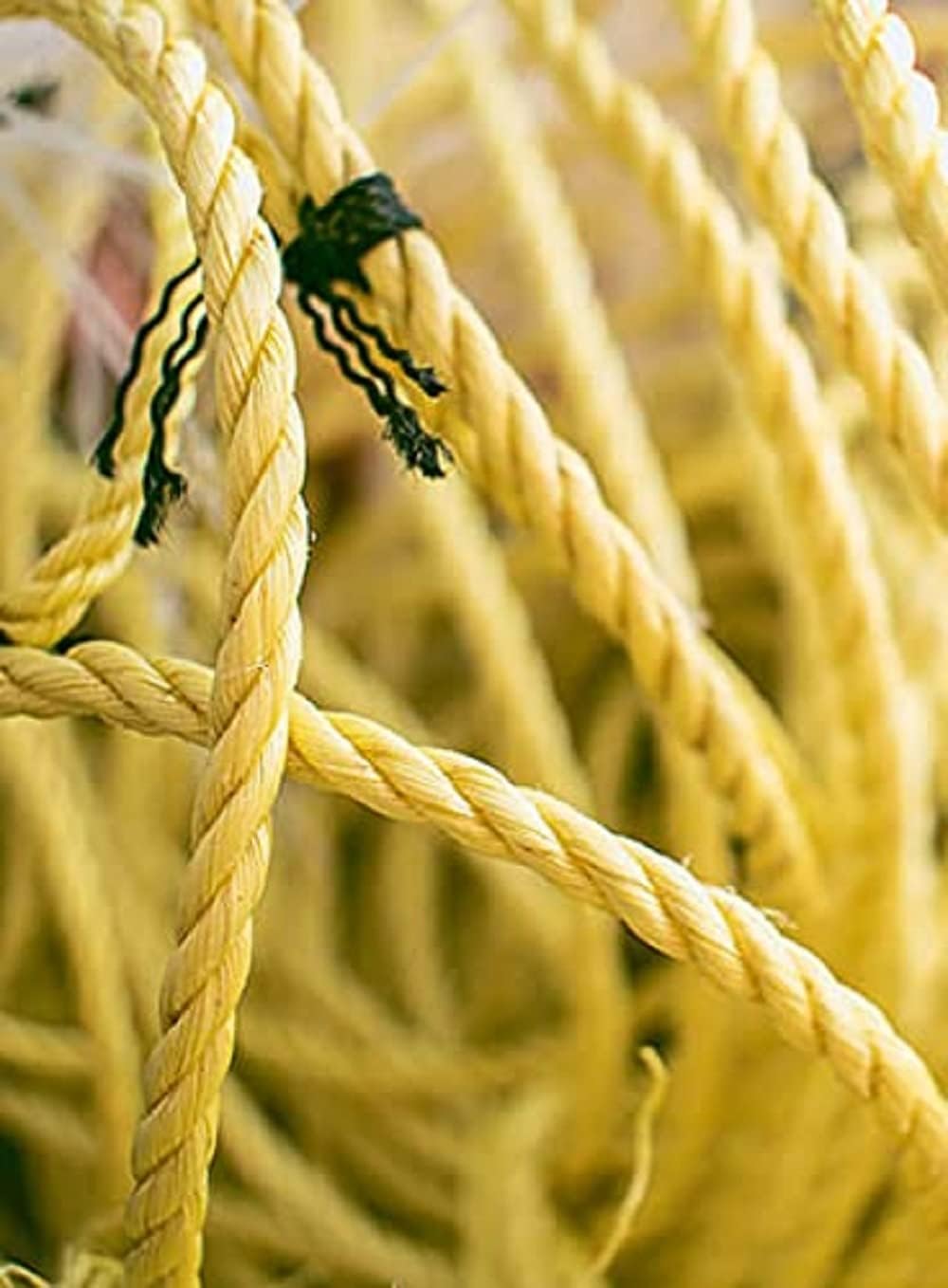 Heavy-Duty Yellow Twisted Utility Rope, High Strength Utility Rope for Marine, Industrial, and Outdoor Use (12 mm, 10 Meter) — Amazon image 2