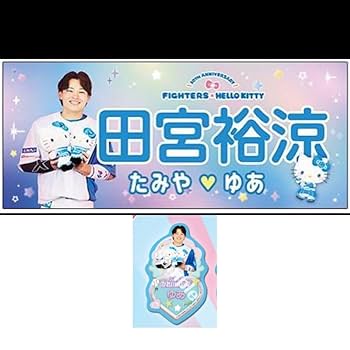 Amazon.co.jp: 田宮裕涼 かわいいタオル ステッカー キティ