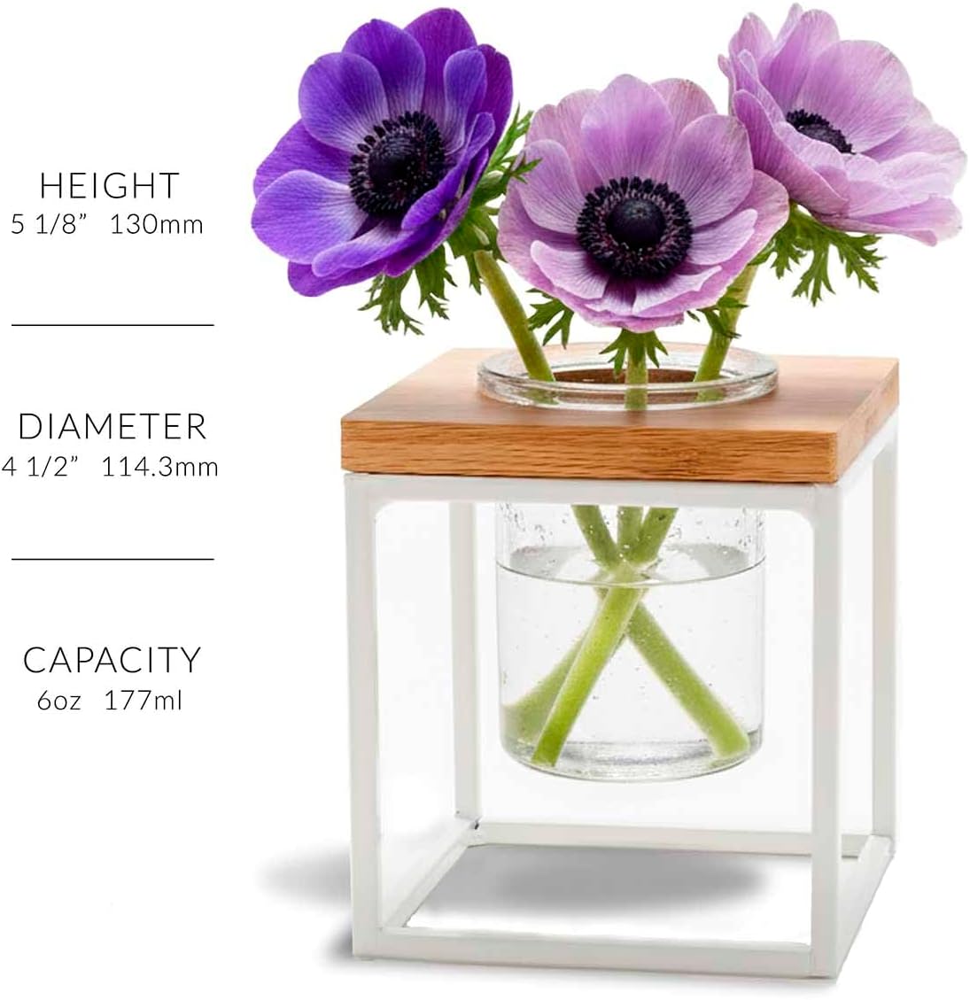 Couronne Co. Coastal Pablo Cube Hanging Planter Vase, 5 Inches tall, White Frame / Clear Glass, M260-200-00