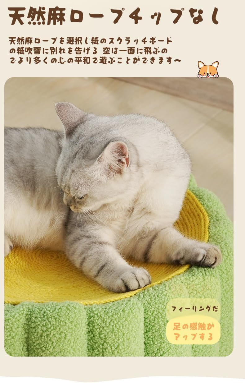 激レア】鈴木愛理公式ブロマイド202枚セット