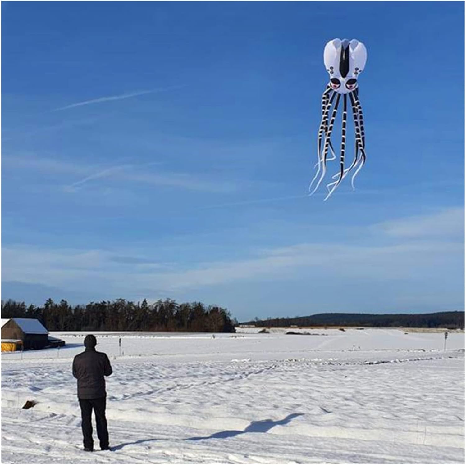 DAPERCI Kites Kite Large Octopus Kite for Adults Ripstop