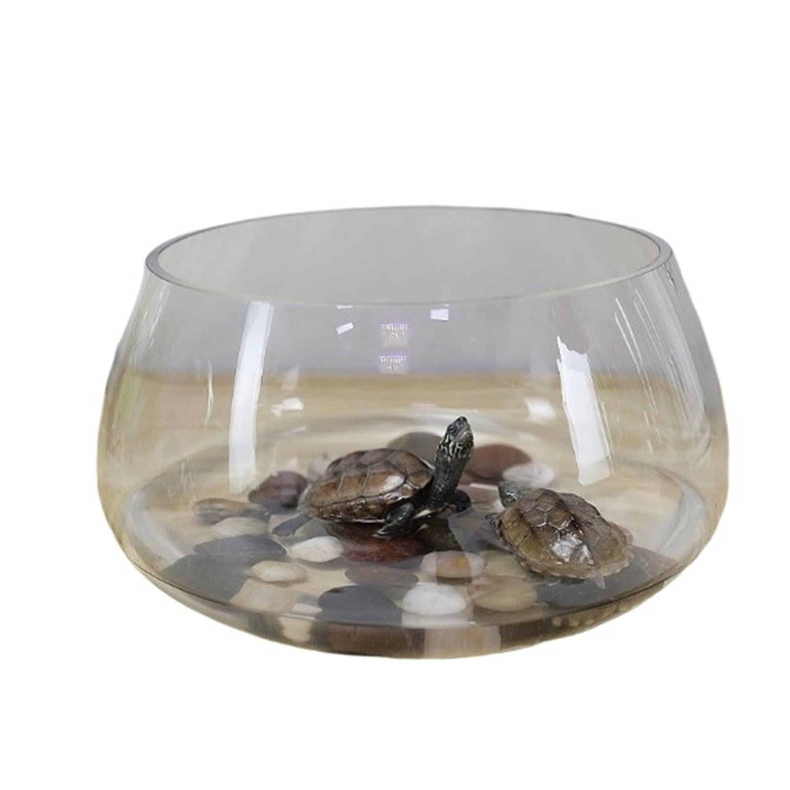 Siedlisko terrarium Szklany, okrągły, przezroczysty, mały słoik z żółwiem na biurko Terrarium akwariowe(Duży)