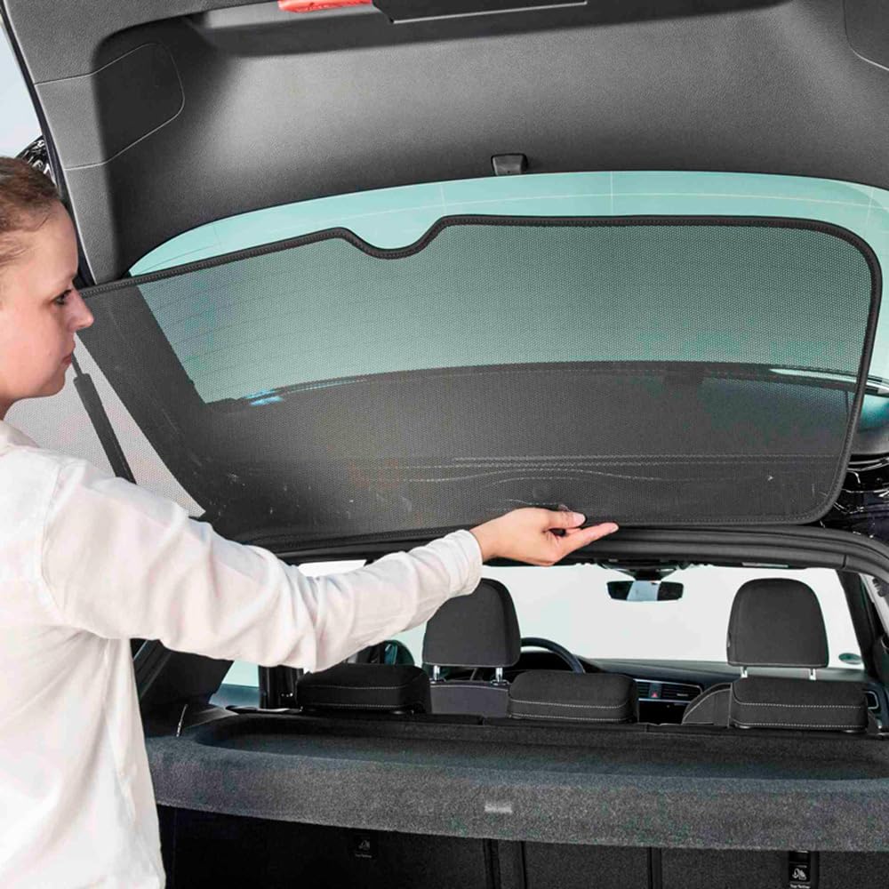 Protection visuelle & Solaire Compatible avec Dacia Sandero/Stepway III 2021-, Noir
