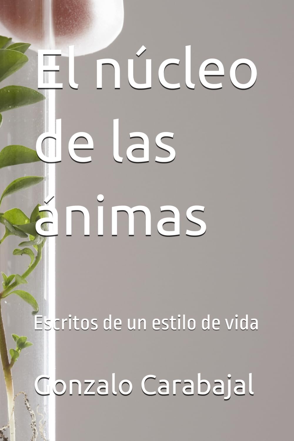 El núcleo de las ánimas: Escritos de un estilo de vida