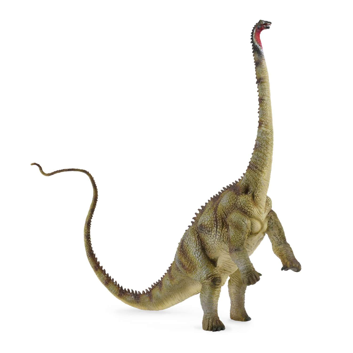 Diplodocus Dinosaur Toy Dinosaur Figure - Authentic Hand Painted & Paleontologist Approved Model , Green
